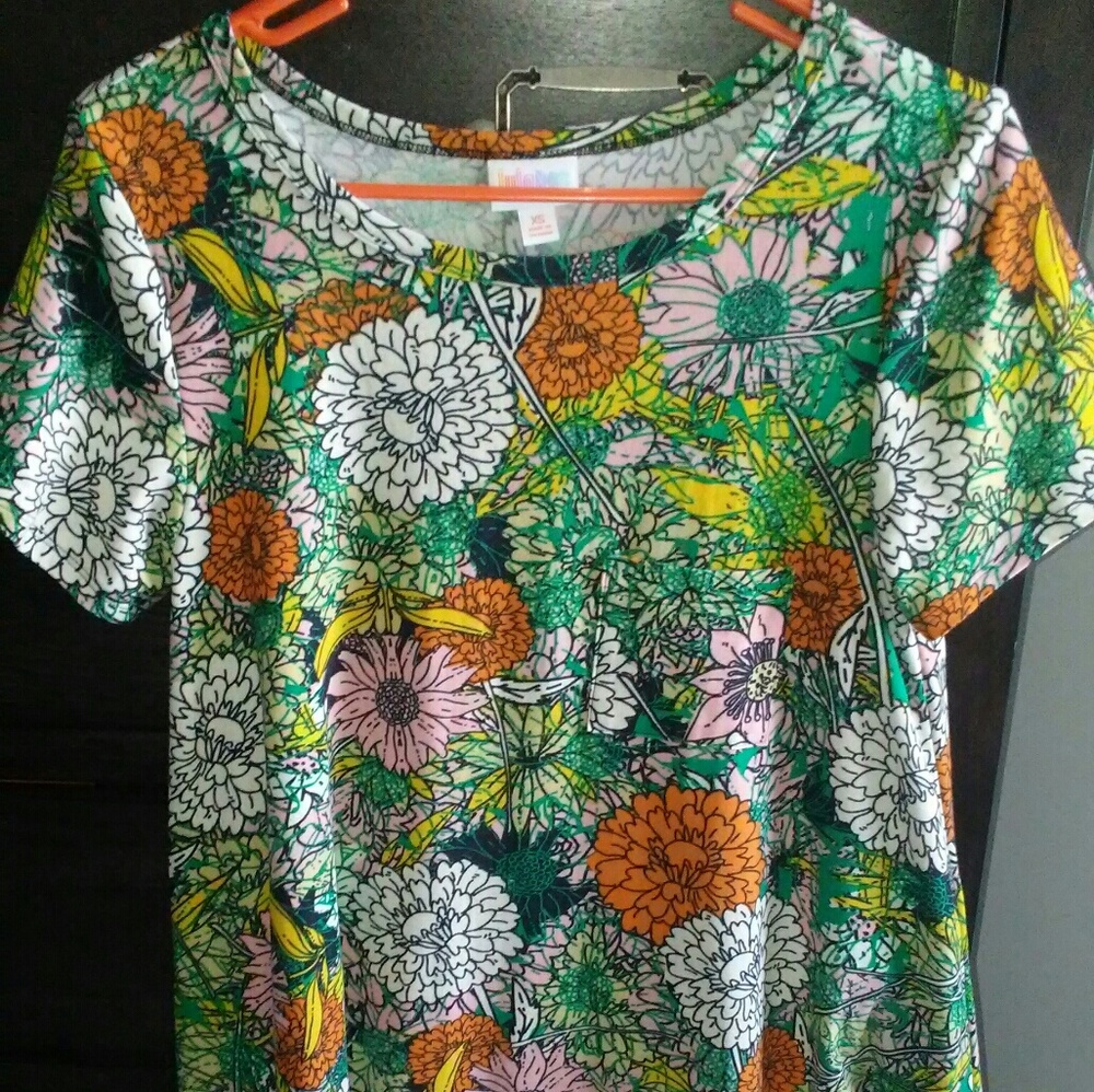 XS Carly dress (Lularoe)